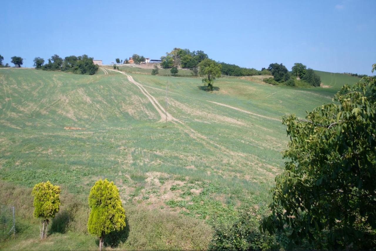 Al Sasseto B&B Montagnana  Exterior foto