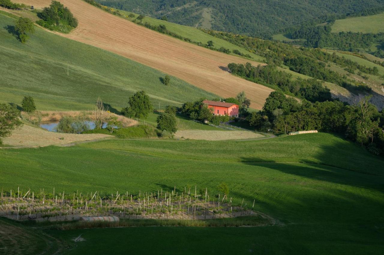 Al Sasseto B&B Montagnana  Exterior foto